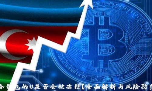 
冷钱包的U是否会被冻结？全面解析与风险防范