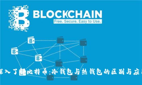 深入了解比特币：冷钱包与热钱包的区别与应用
