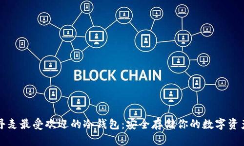 丹麦最受欢迎的冷钱包：安全存储你的数字资产