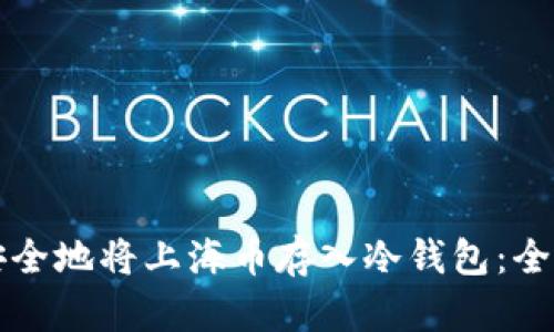 如何安全地将上海币存入冷钱包：全面指南