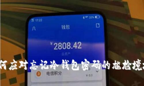 如何应对忘记冷钱包密码的尴尬境地？
