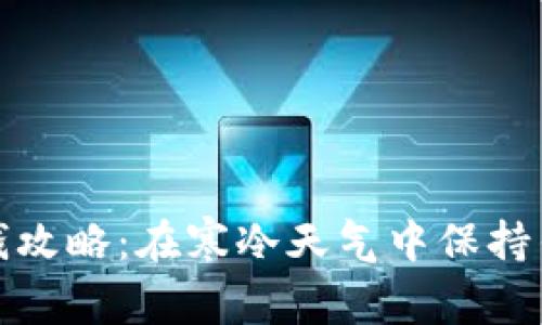 暖冬省钱攻略：在寒冷天气中保持钱包温暖