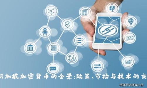  新加坡加密货币的全景：政策、市场与技术的交融