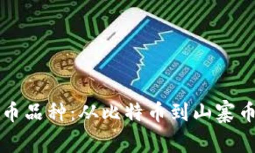 揭秘加密货币品种：从比特币到山寨币的全景探索