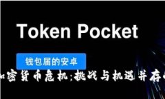 全球加密货币危机：挑战