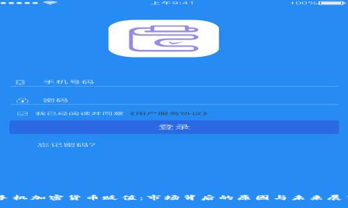 手机加密货币贬值：市场背后的原因与未来展望