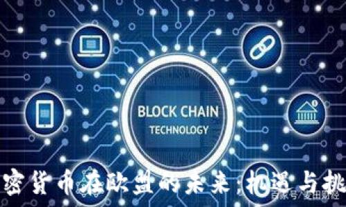   
加密货币在欧盟的未来：机遇与挑战