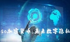揭秘Noso加密货币：未来数