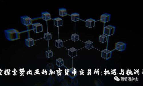 深度探索赞比亚的加密货币交易所：机遇与挑战并存