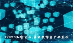 TRC20加密货币：未来数字资