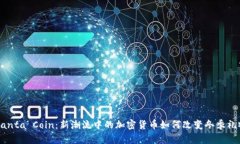 揭秘Santa Coin：新潮流中的