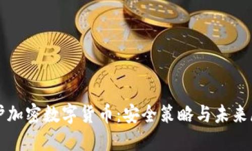 保护加密数字货币：安全策略与未来展望
