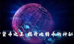 《加密货币之王：揭开比
