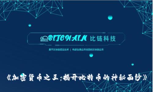 《加密货币之王：揭开比特币的神秘面纱》