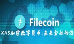 深入探索XAS加密数字货币