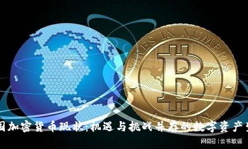 美国加密货币现状：机遇与挑战并存的数字资产生态