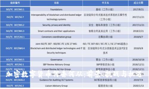 加密数字货币何去何从：前景、挑战与机遇