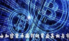  国家任由加密货币圈钱的