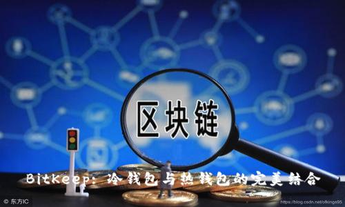 BitKeep: 冷钱包与热钱包的完美结合