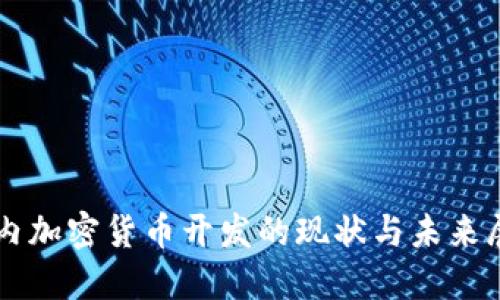国内加密货币开发的现状与未来展望