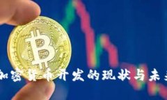 国内加密货币开发的现状