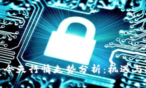 加密货币今天行情走势分析：机遇与挑战并存