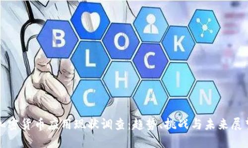 加密货币应用现状调查：趋势、挑战与未来展望