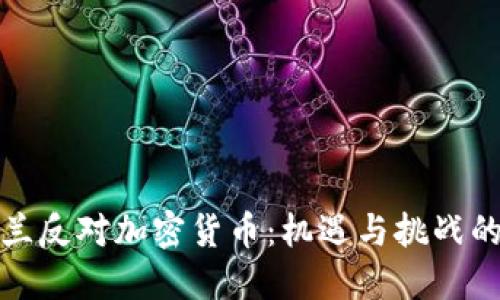 爱尔兰反对加密货币：机遇与挑战的交锋