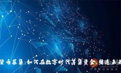 揭秘加密货币募集：如何