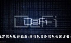 数字钱包选择指南：热钱