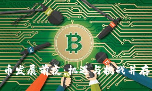 加密货币发展前夜：机遇与挑战并存的时代