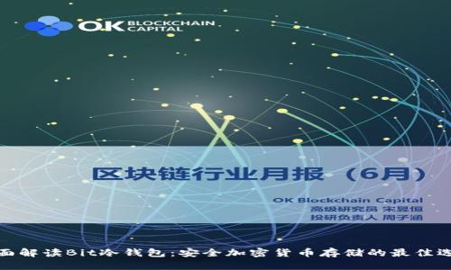 全面解读Bit冷钱包：安全加密货币存储的最佳选择