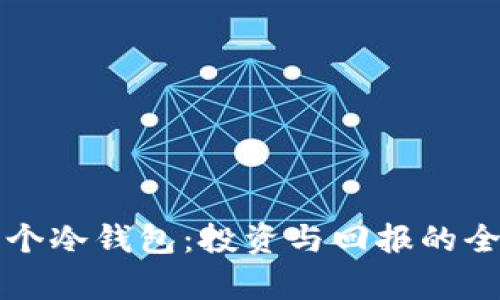 开发一个冷钱包：投资与回报的全景分析