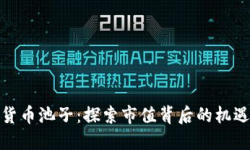 : 加密货币池子：探索市值背后的机遇与挑战