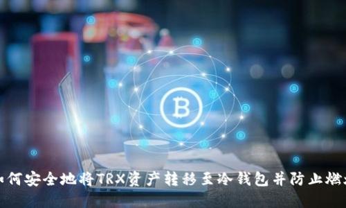 如何安全地将TRX资产转移至冷钱包并防止燃烧