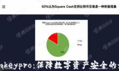 冷钱包imkeypro：保障数字资