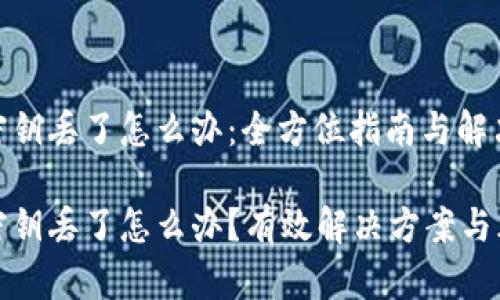 冷钱包密钥丢了怎么办：全方位指南与解决方案

冷钱包密钥丢了怎么办？有效解决方案与风险管理