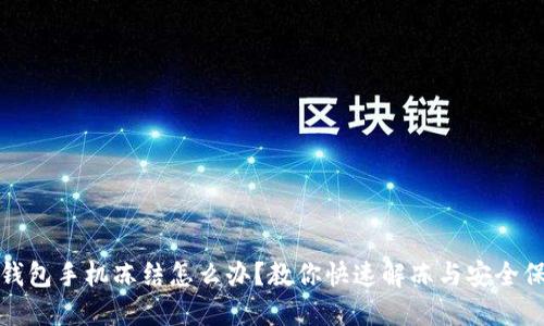 冷钱包手机冻结怎么办？教你快速解冻与安全保障