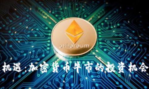 抓住机遇：加密货币牛市的投资机会分析