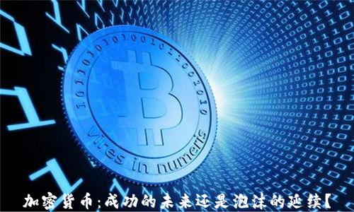 
加密货币：成功的未来还是泡沫的延续？