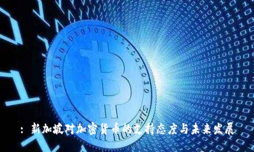 : 新加坡对加密货币的支持态度与未来发展