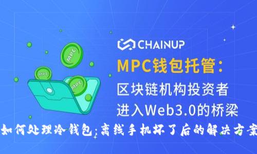 如何处理冷钱包：离线手机坏了后的解决方案
