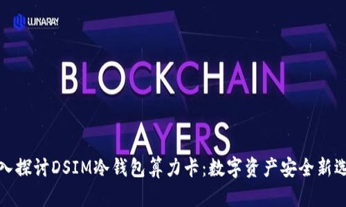深入探讨DSIM冷钱包算力卡：数字资产安全新选择