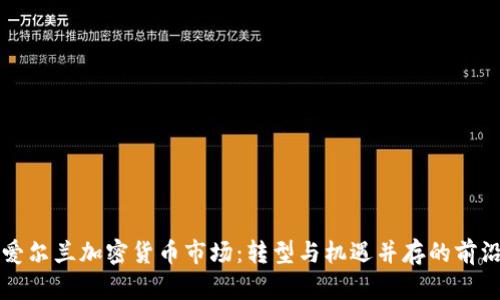 爱尔兰加密货币市场：转型与机遇并存的前沿