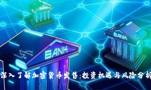 深入了解加密货币发售：投资机遇与风险分析