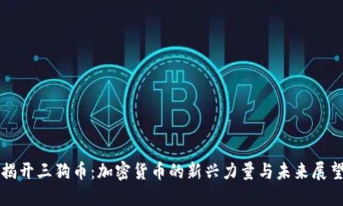 揭开三狗币：加密货币的新兴力量与未来展望