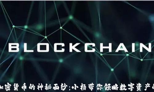 
揭开加密货币的神秘面纱：小杨带你领略数字资产的未来