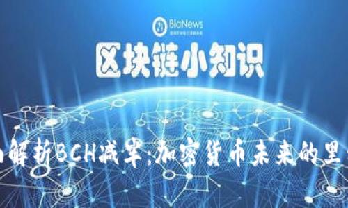 全面解析BCH减半：加密货币未来的里程碑