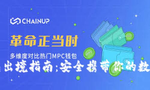 冷钱包出境指南：安全携带你的数字资产