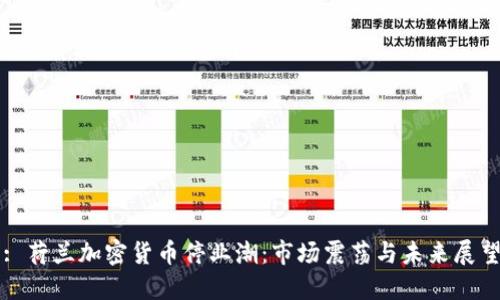 : 荷兰加密货币停业潮：市场震荡与未来展望